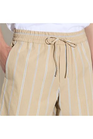 Bermuda in cotone a righe beige e bianco PAOLO PECORA | D0521580RA11